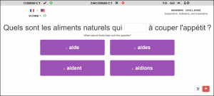 Clozemaster French Grammar Challenge screenshot