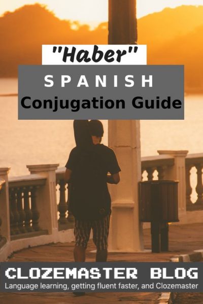 Haber Conjugation Chart