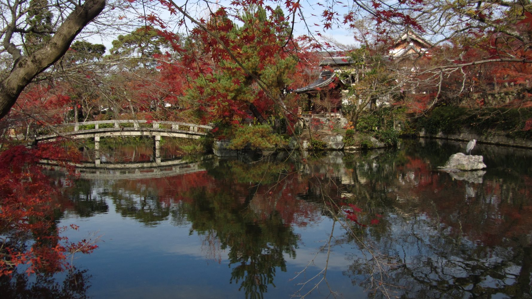 10 Cosy Japanese Words to Talk About Autumn